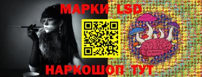 spice Кинель