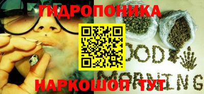 ALPHA PVP Кингисепп