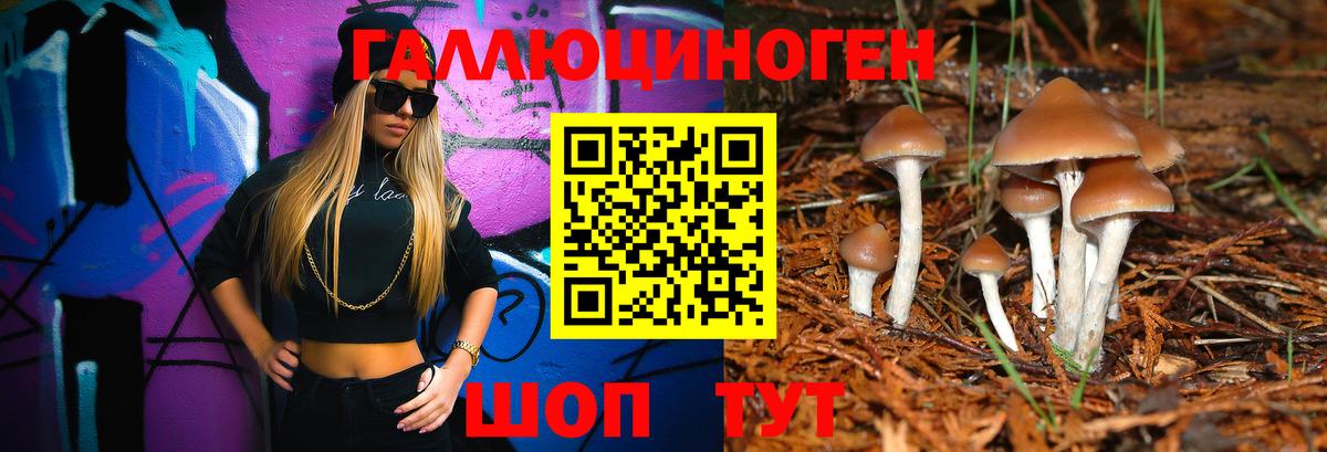 Галлюциногенные грибы мухоморы  Вход с VPN  Кызыл 