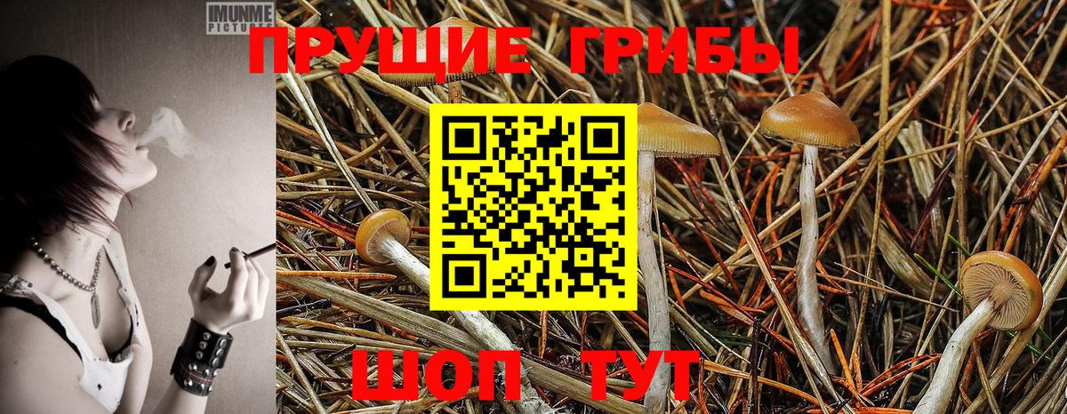 Псилоцибиновые грибы Magic Shrooms Кызыл